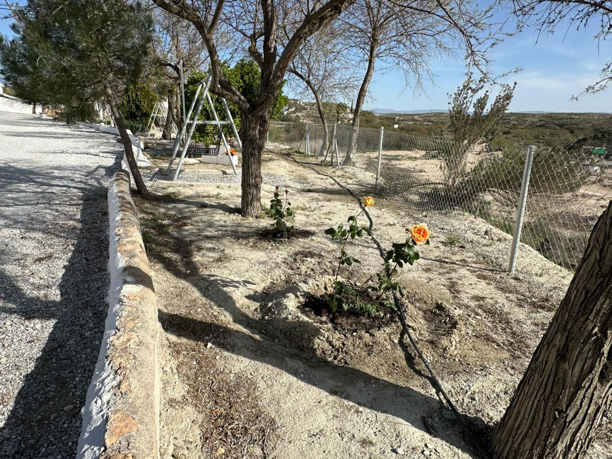 Alojamientos Cuevas Tiana El Aljibete Dış mekan fotoğraf
