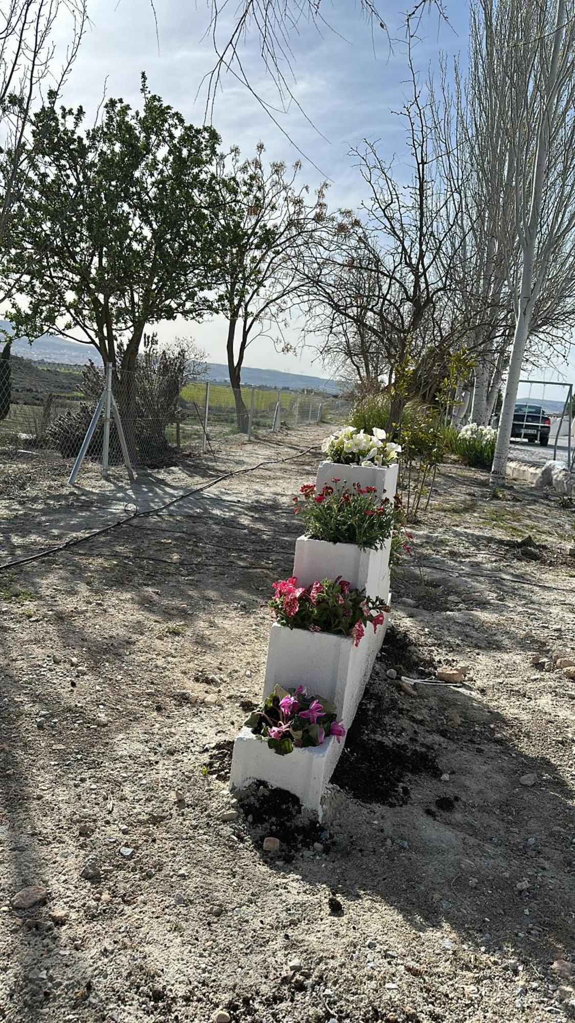 Alojamientos Cuevas Tiana El Aljibete Dış mekan fotoğraf