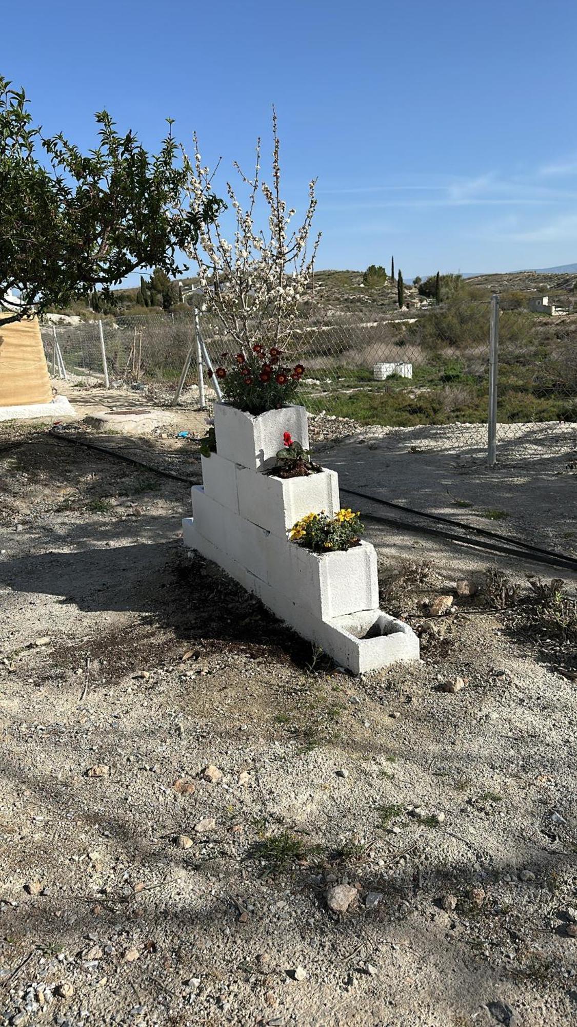 Alojamientos Cuevas Tiana El Aljibete Dış mekan fotoğraf